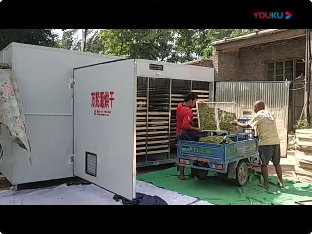 金銀花烘干機(jī)6