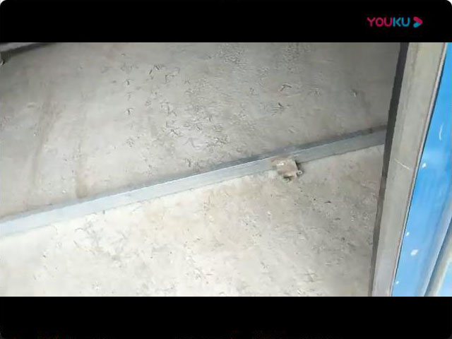 金銀花烘干機(jī)