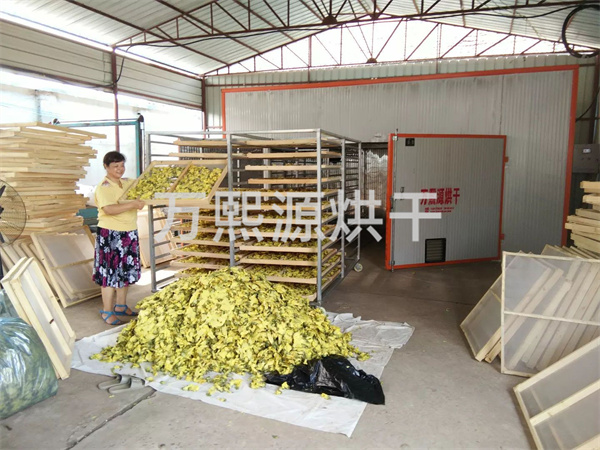 金花葵烘干機