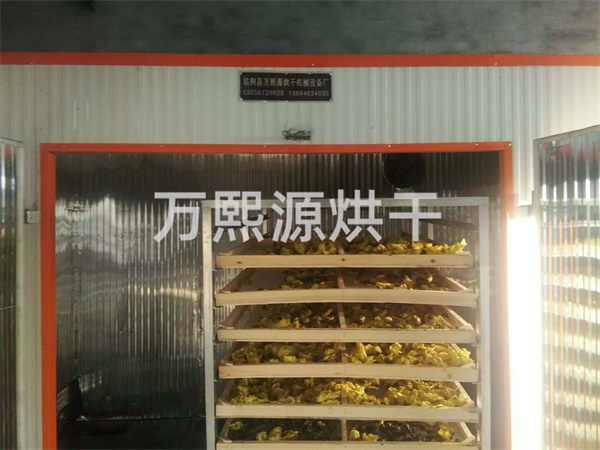 金花葵烘干機
