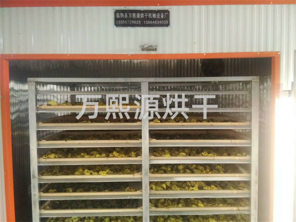 金花葵烘干機